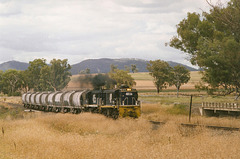 199901Tamworth0002