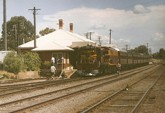 199901Tamworth0005