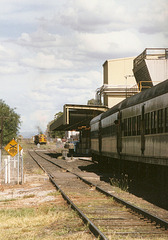 199901Tamworth0008