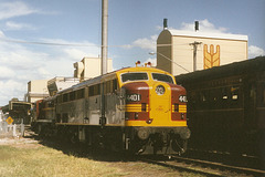 199901Tamworth0009