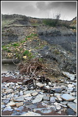 cliff erosion