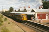 199901Tamworth0010