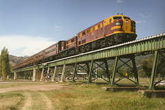 199901Tamworth0011