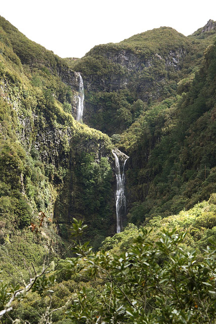 Levada walk