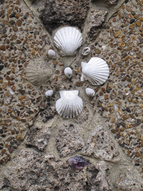 Shells