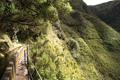 Levada walk