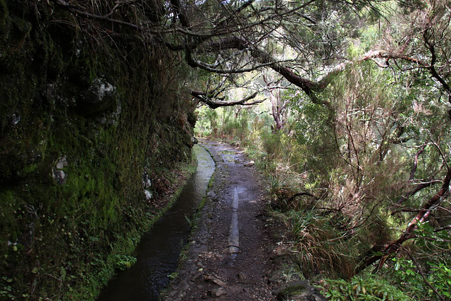 Levada walk