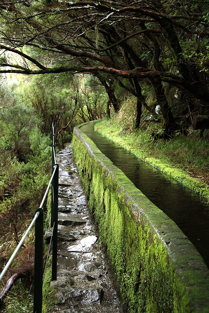 Levada walk