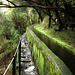 Levada walk