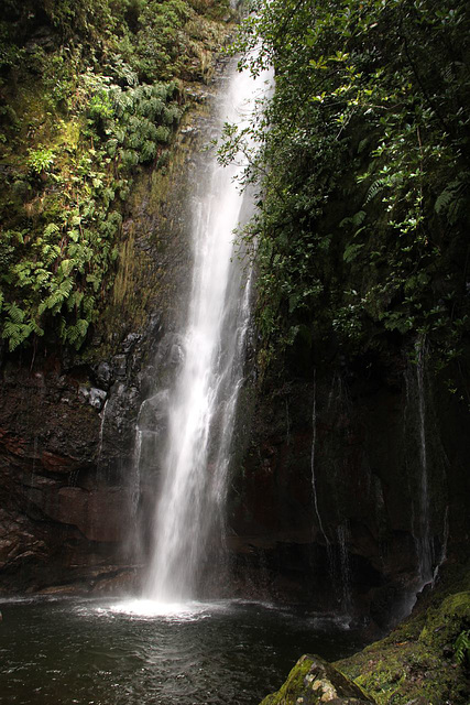 Levada walk