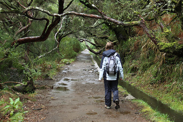 Levada walk