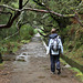 Levada walk