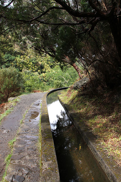 Levada walk