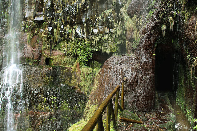 Levada walk