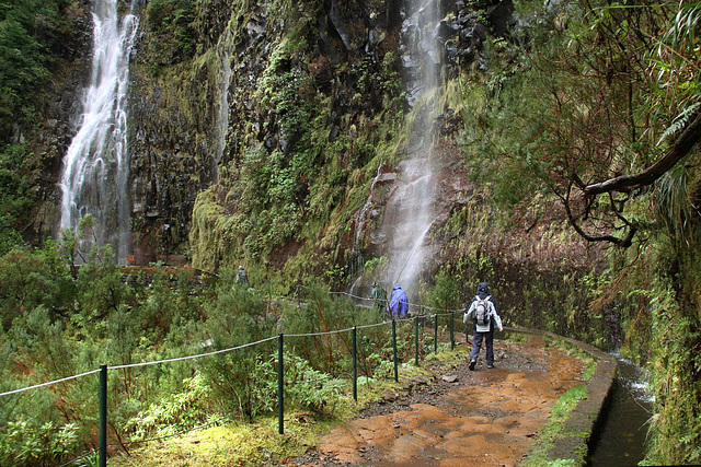 Levada walk