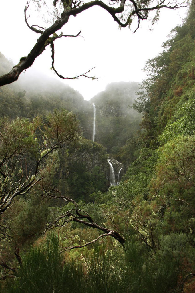 Levada walk