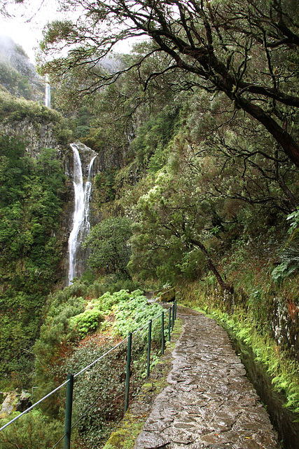 Levada walk