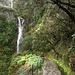 Levada walk