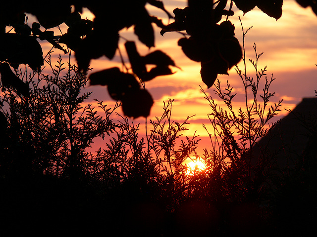 Sonnenuntergang - Sunset