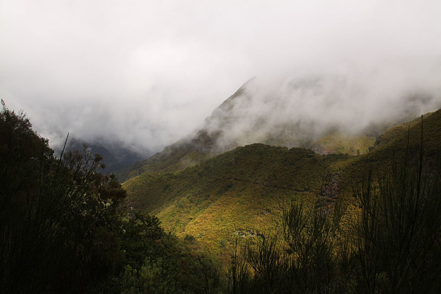 Levada walk