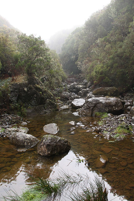 Levada walk