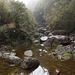 Levada walk