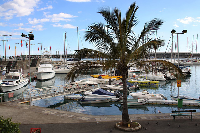 Funchal marina