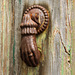 Handy door knocker