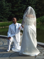 Bride and Groom in the Japanese Garden in the Brooklyn Botanic Garden, July 2008