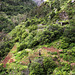 Levada walk