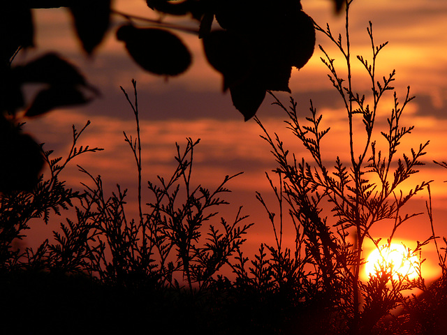 Sonnenuntergang - Sunset