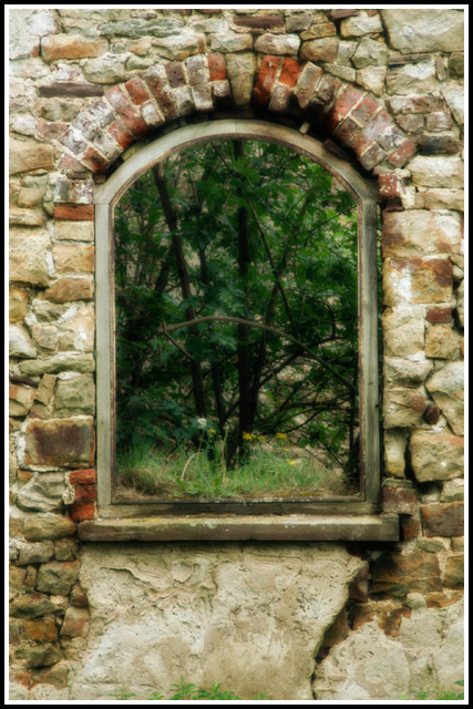 window