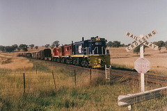 199309molong481120001