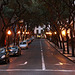 Funchal streets at dusk