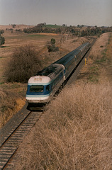 199309warnecliffexpt0001