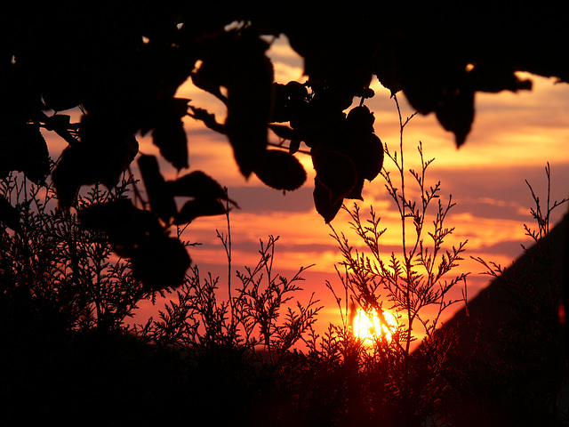 Sonnenuntergang - Sunset