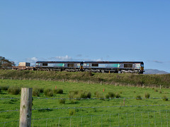 Sheds in the field