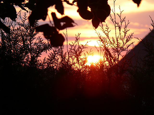 Sonnenuntergang - Sunset