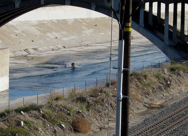 LA River: Spring St bridge 1812a2