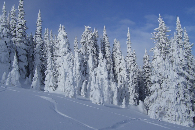 Snow Shapes