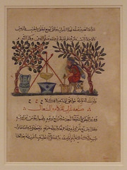 Leaf from a Manuscript of the Materia Medica in the Metropolitan Museum of Art, May 2011