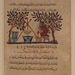 Leaf from a Manuscript of the Materia Medica in the Metropolitan Museum of Art, May 2011