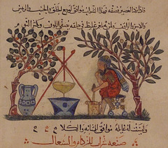 Detail of a Leaf from a Manuscript of the Materia Medica in the Metropolitan Museum of Art, May 2011