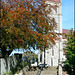 the church & steps