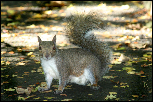 "got any crisps?"