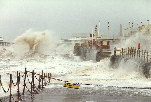 Blustery day