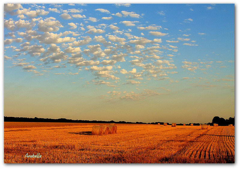 un soir d'été