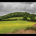 Iron Age hill fort