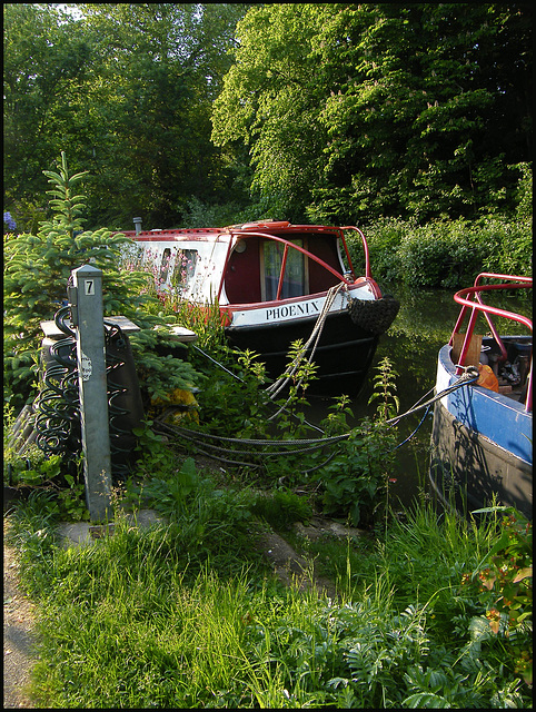 Phoenix houseboat