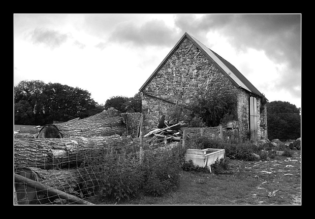 The wood shed